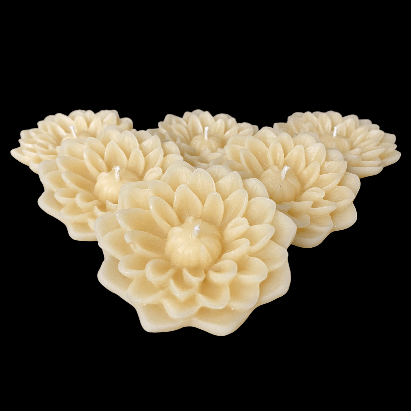 Dahlia Floating Candle - Cappings Beeswax