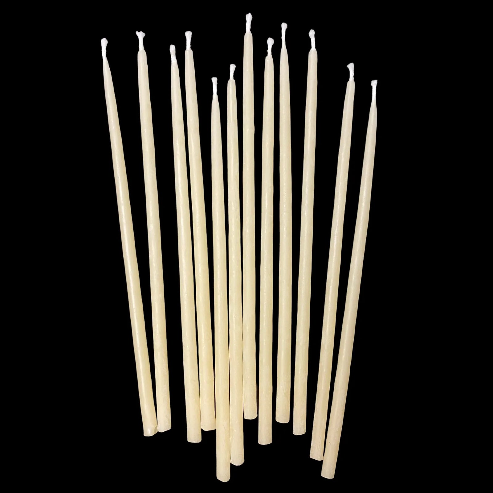 Six inch cappings beeswax birthday taper candles standing upright in a clean studio row