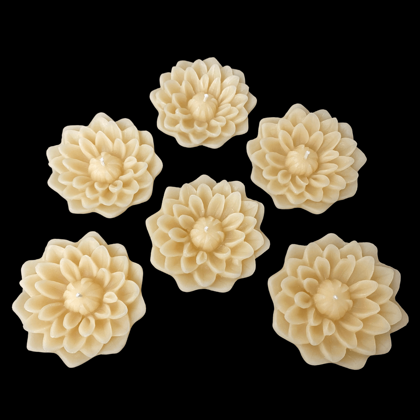 Dahlia Floating Candle - Cappings Beeswax