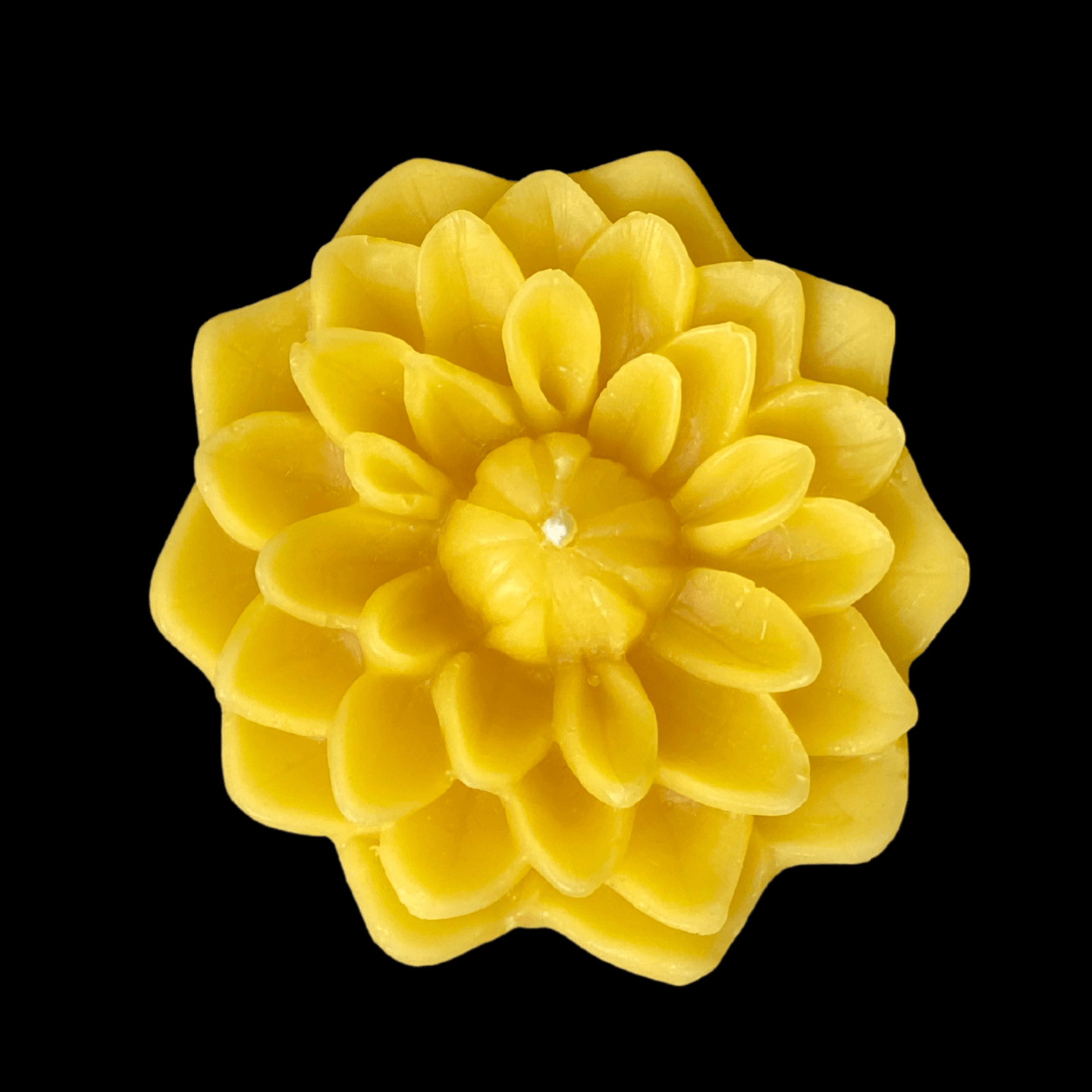 Dahlia Floating Candle - Yellow Beeswax