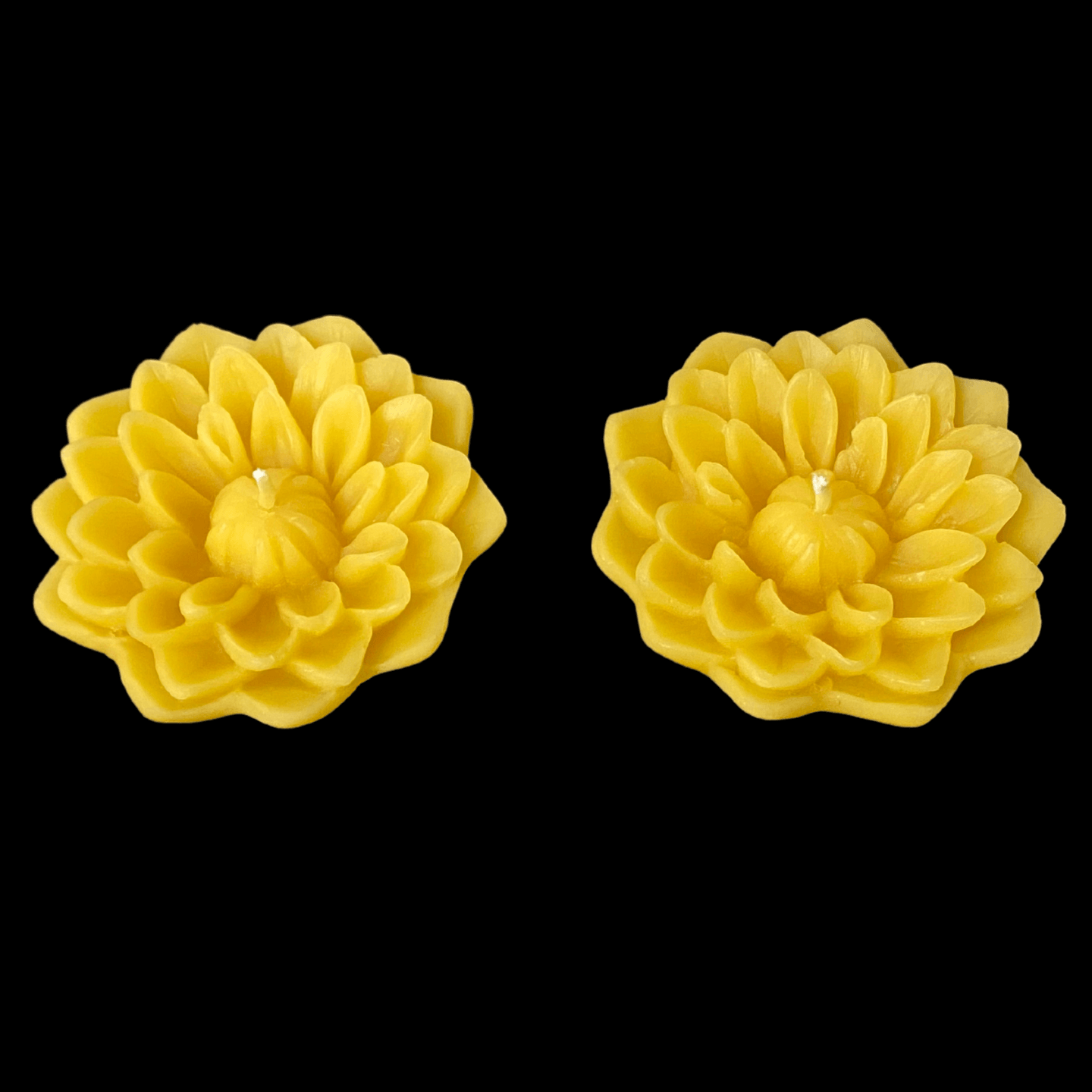 Dahlia Floating Candle - Yellow Beeswax