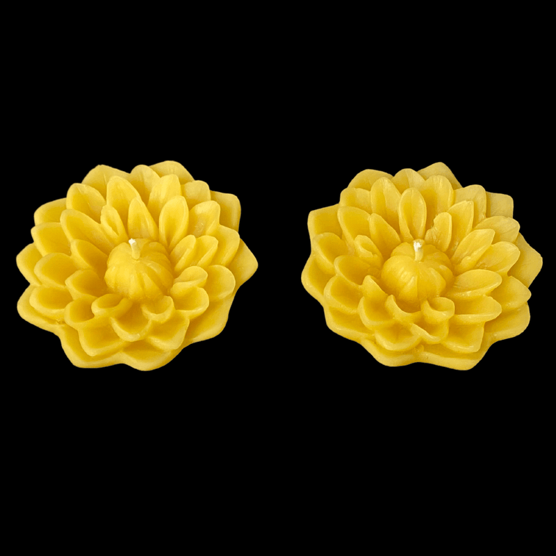 Dahlia Floating Candle - Yellow Beeswax