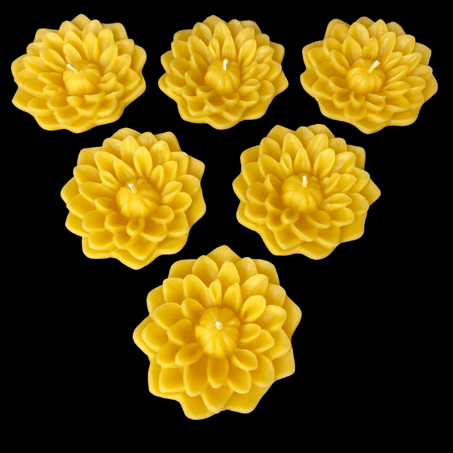 Dahlia Floating Candle - Yellow Beeswax