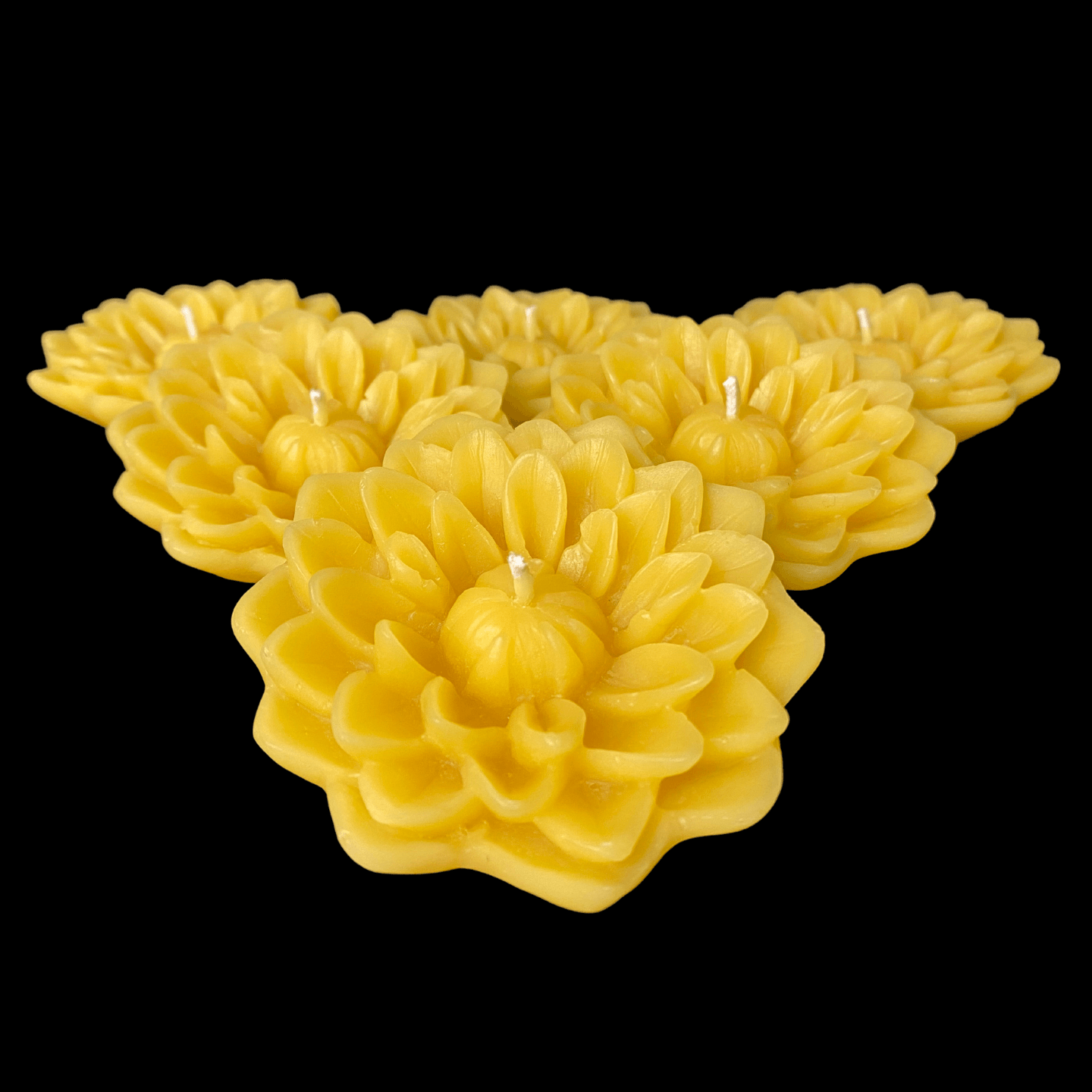 Dahlia Floating Candle - Yellow Beeswax