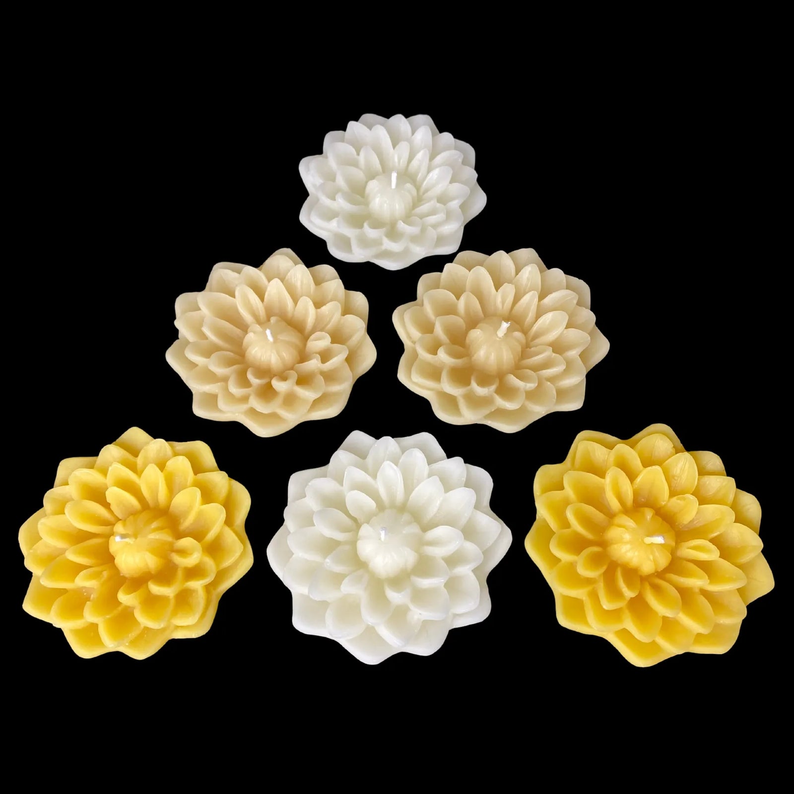 Dahlia Floating Candles