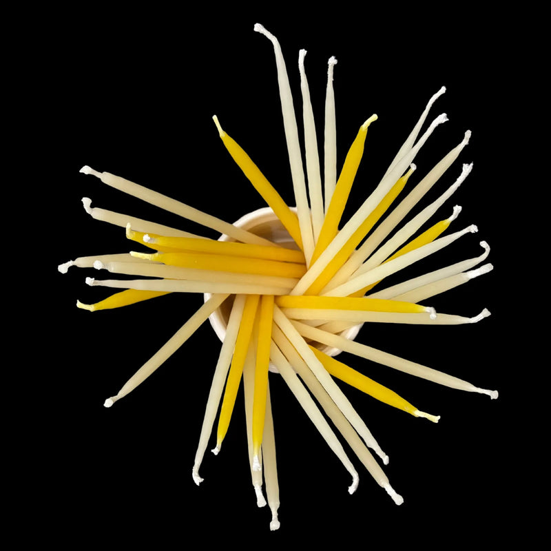 Skinny beeswax birthday taper candles arranged in a starburst with cotton wicks visible