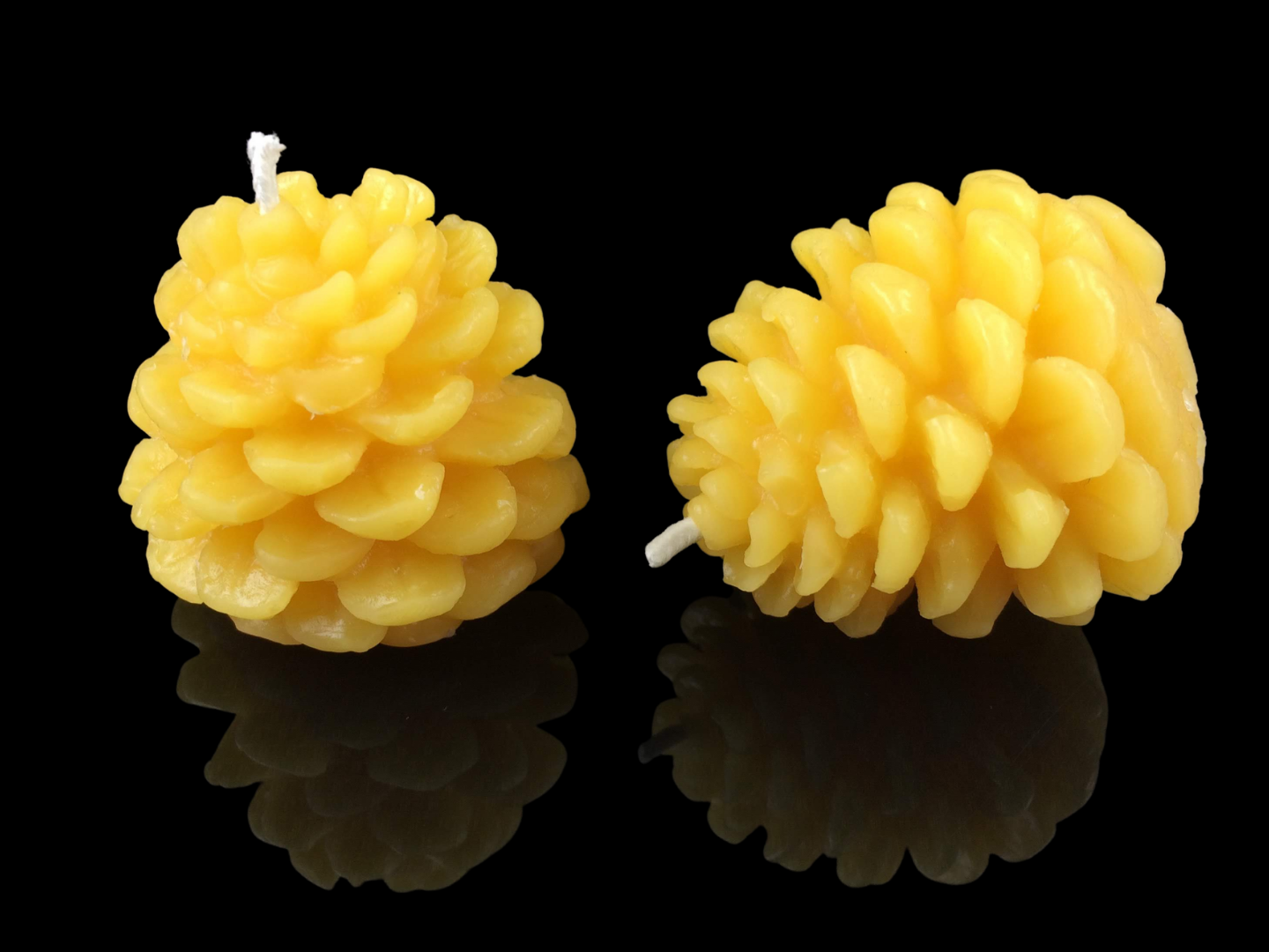 Large pinecone set