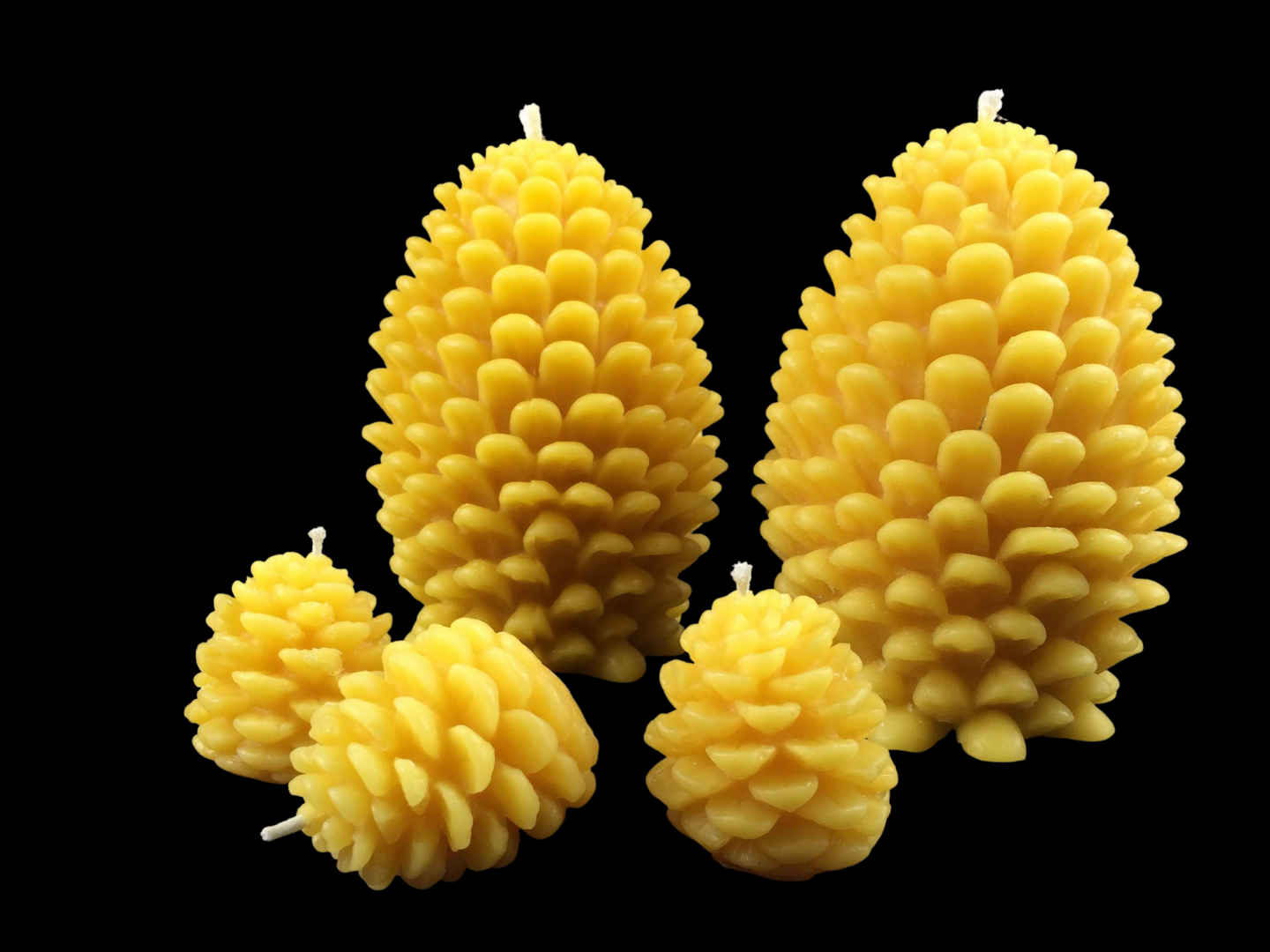 Large pinecone set